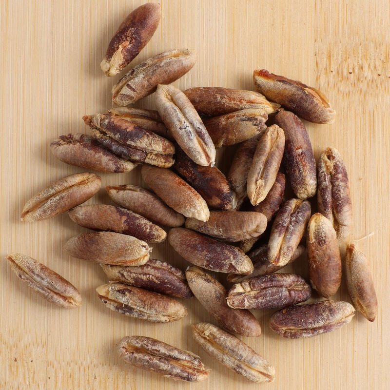 نوات التمر حب