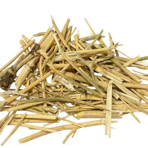 عشبة الحزاء