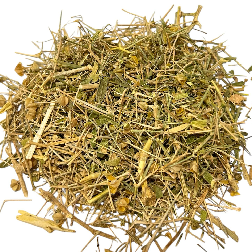 عشبة العاقول