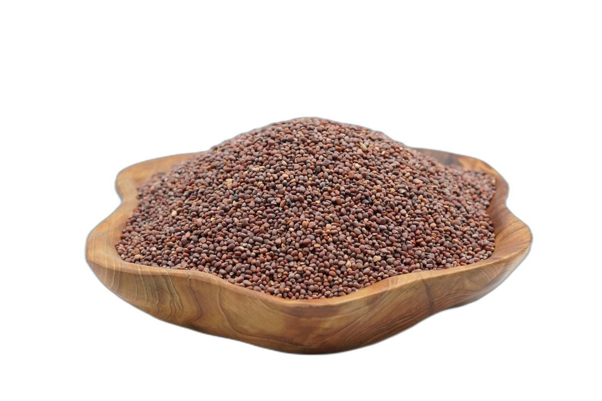بذور الجرجير