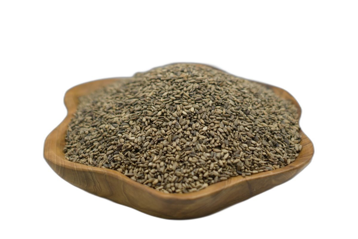 بذور شوك الجمل (حليب الشوك)