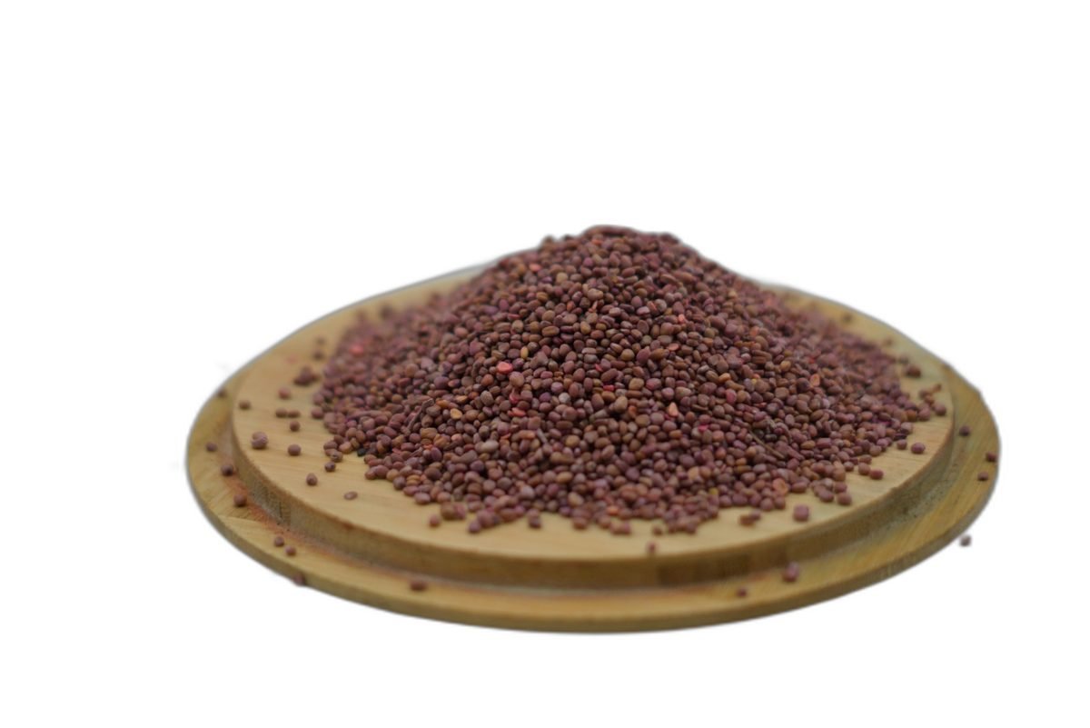 بذور الفجل – ١٠٠ جم